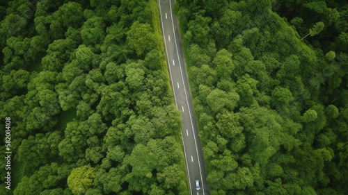 aerial photography of curved road on summer, colorful summer nature colors on trees  © Ployker