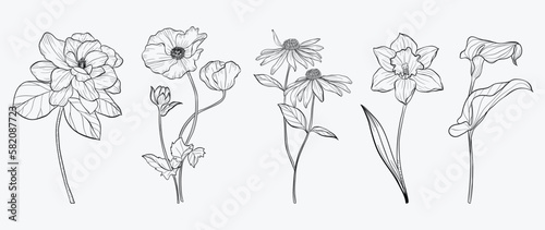 Set of hand drawn botanical flowers line art vector. Collection of black white contour drawing of poppy, wildflowers, leaf. Design illustration for print, logo, cosmetic, poster, card, branding.