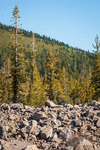 Rock Field and Treeline at Lassen Volcanic National Park in California