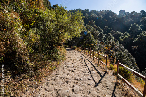 Forest path to Dorothy's Seat in Nainital photo