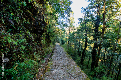 Forest path to Dorothy s Seat in Nainital