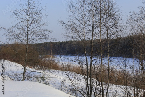 Forested banks of the Cobra River in early spring
