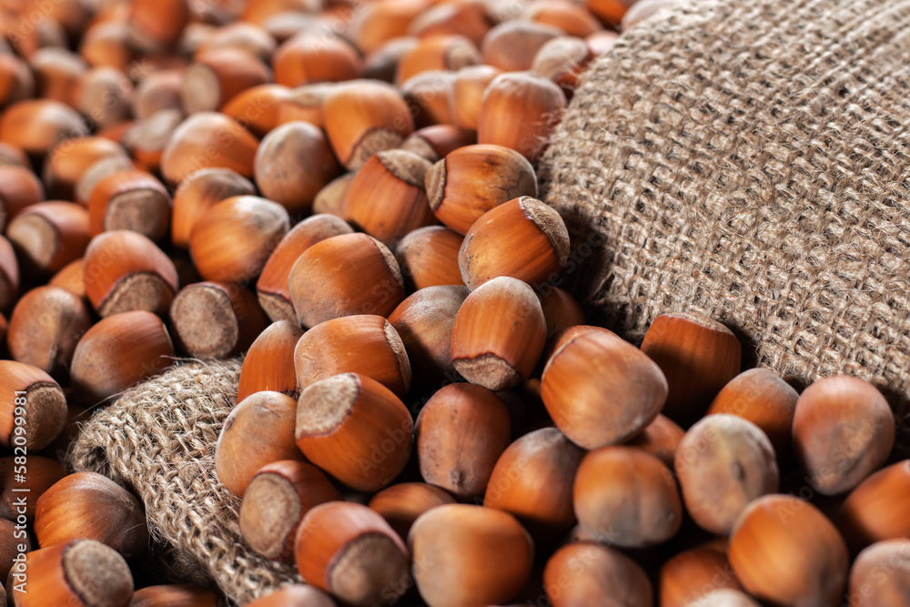 Hazelnuts, filbert on old wooden table. heap or stack of hazel nuts. Hazelnut background, healty food