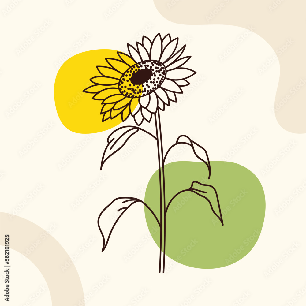 Sunflower line art vector illustration. Minimalist contour drawing. One