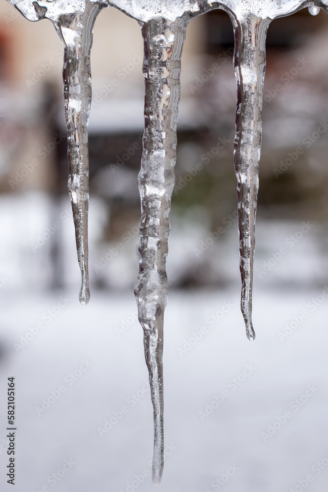 beautiful shiny transparent icicles hang on a clear day beautiful shiny transparent icicles hang on a clear day