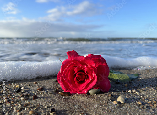 rote Rose von einer Seebestattung am Strand
