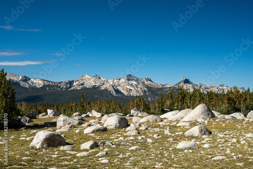 Glacial Boulders Dot the Grassy Meadows in front of Yosemite Peaks © kellyvandellen