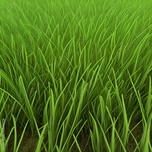 green rice field - Green grass background - Generative AI