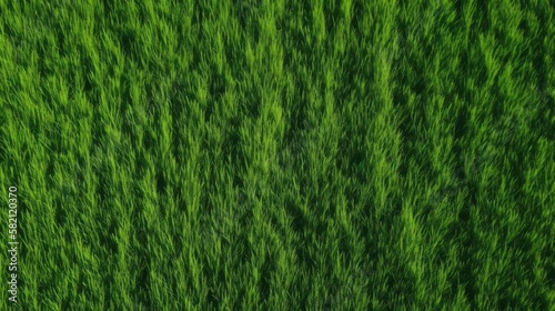 Wallpaper Mural green grass background aerial view Torontodigital.ca
