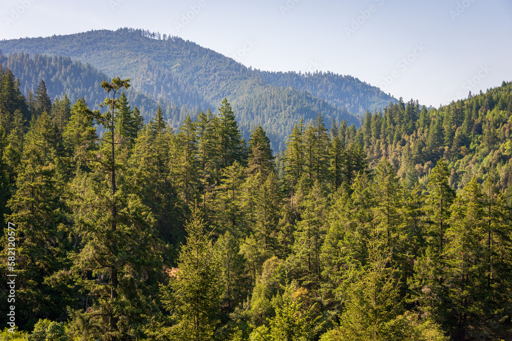 Mountain Overlook at Klamath National Forest