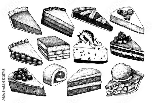 Digital vector detailed line art sliced cake and cupcakes hand drawn retro illustration collection. Thin artistic pencil outline. Vintage ink flat, engraved design doodle sketches