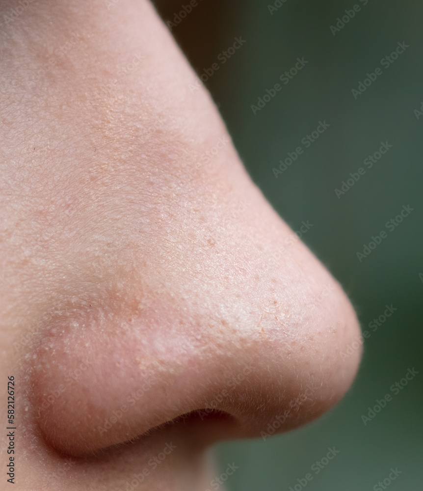 Fototapeta premium Nose on the girl's face.