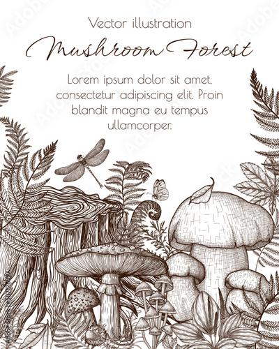 Vector illustration of mushrooms in the forest in engraving style. Graphic linear fly, mycena agaric and porcini mushroom near the stump