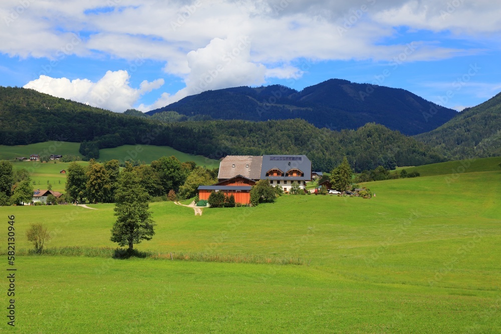 Green pastures in Austria - rural landscape