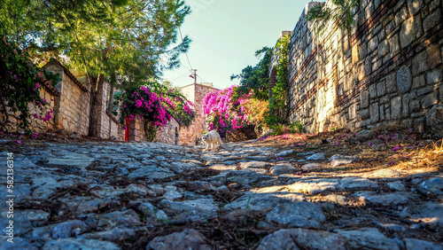 The old town of Datça and its streets and houses made with local stonework