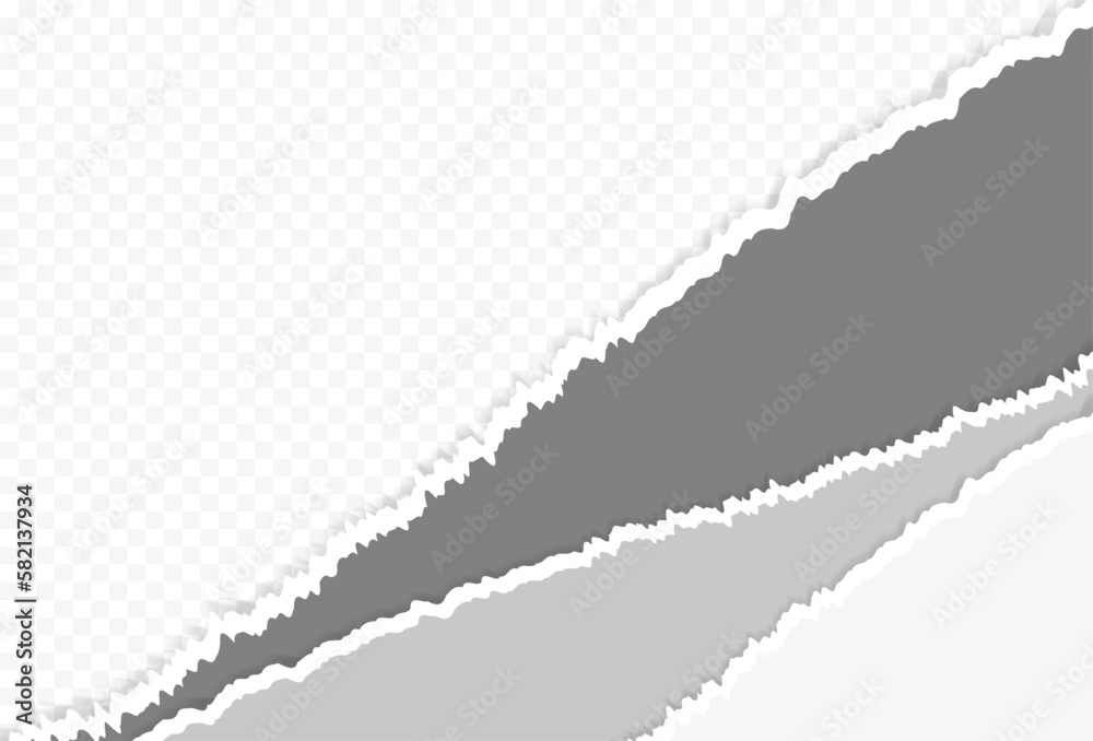 Gray Ripped Torn Paper On Transparent Background. Frame. Vector Illustration