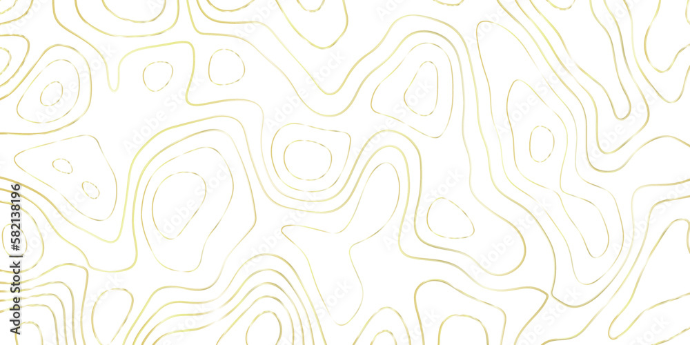 Abstract Topographic map background with wave line. gradient multicolor wave curve lines banner background design. Vector illustration. Line topography map contour background. Abstract Topographic map background with wave line. gradient multicolor wave curve lines banner background design. Vector illustration. Line topography map contour background.