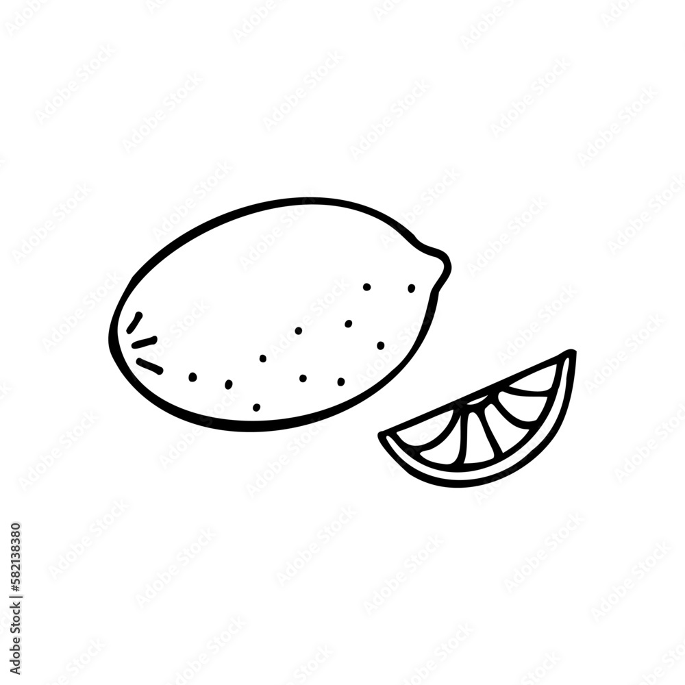 Juicy lemon and lemon wedge. A useful vitamin in the treatment of colds, flu. Doodle. Hand drawn. Vector illustration. Outline. Juicy lemon and lemon wedge. A useful vitamin in the treatment of colds, flu. Doodle. Hand drawn. Vector illustration. Outline.