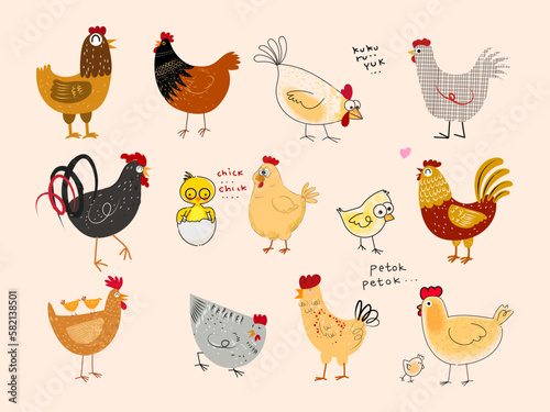 Fototapeta Set of chicken, rooster, hen poultry farm animal icon character hand drawn vector illustration