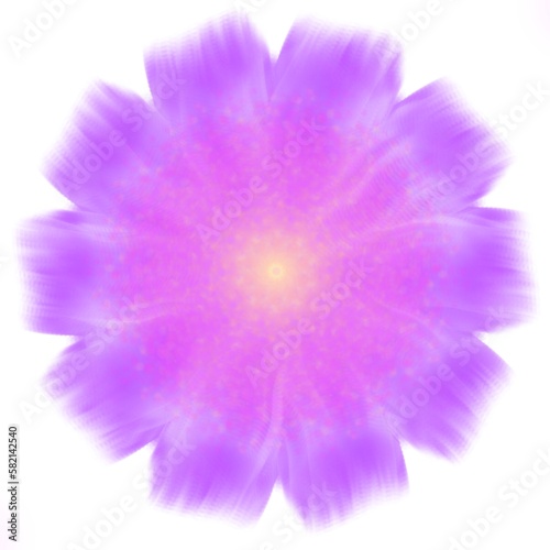 dahlia flower isolated on white