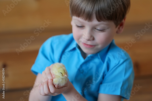 chicken in children's hands for Easter celebration