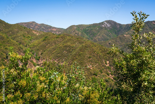 Fototapeta Naklejka Na Ścianę i Meble -  View of Los Padres National Forest