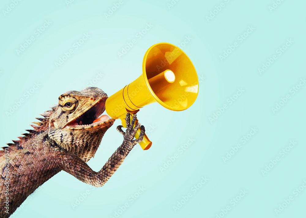 Iguana holds a yellow loudspeaker and shouts, attention, concept. Management and business, creative idea. Attracting traffic. Reptile speaks loudly - obrazy, fototapety, plakaty 