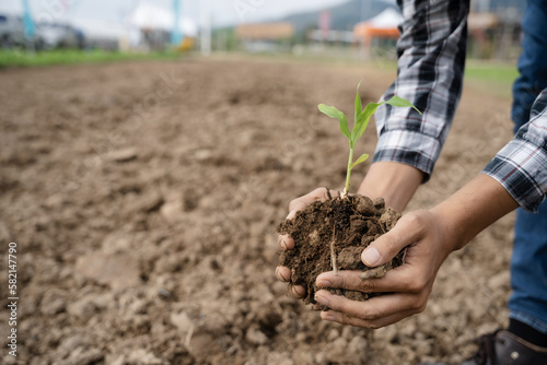 Human Hands Planting Young Green Plants.