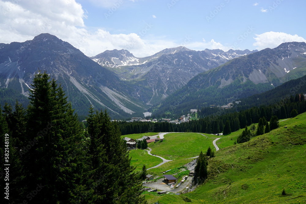 Summer in Switzerland Swiss Alps