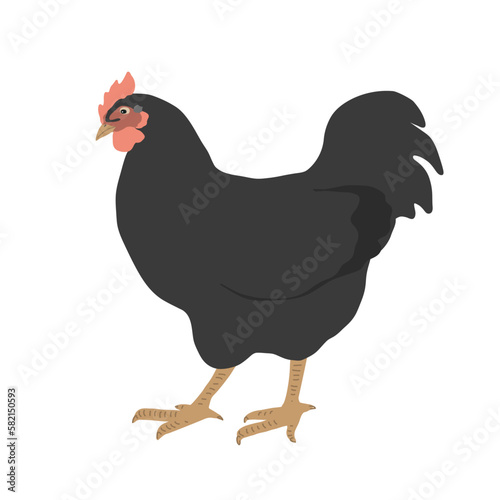 Billede på lærred Black cock icon, rooster vector illustration isolated on white