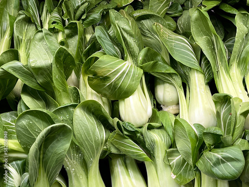 Fresh bok choy displayed at a market stand
