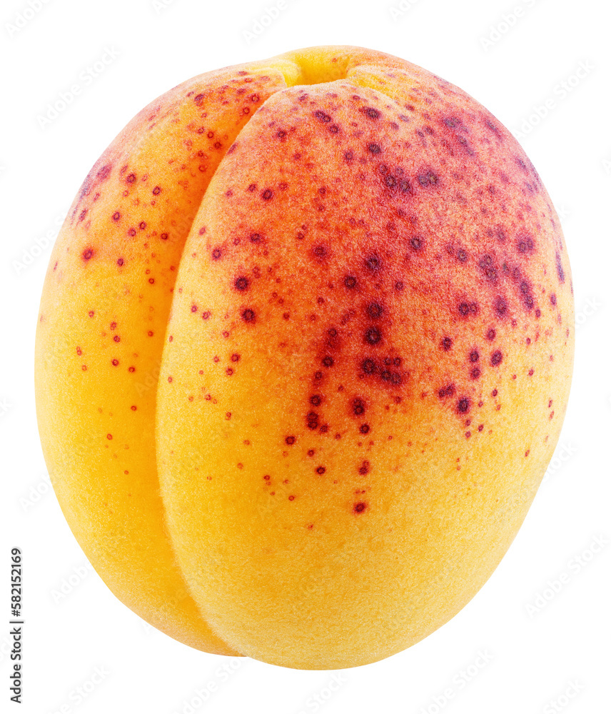 Fototapeta premium Single apricot fruit without leaf isolated on transparent background. Full depth of field.