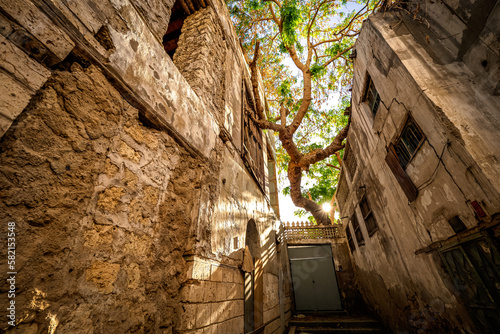 Scenic and idyllic view of a tree in the courtyard of a traditional residential townhouse in the historic district Al-Balad, Jeddah, KSA, Saudi Arabia