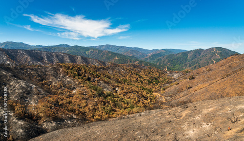 Damage from Forest Fire at Las Padres National Forest