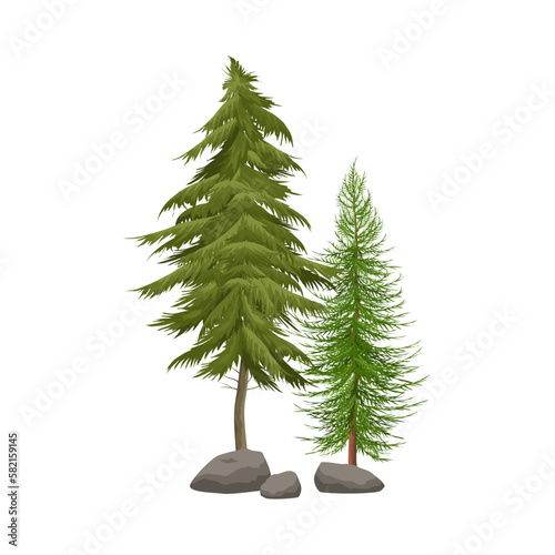 Realistic Coniferous Trees