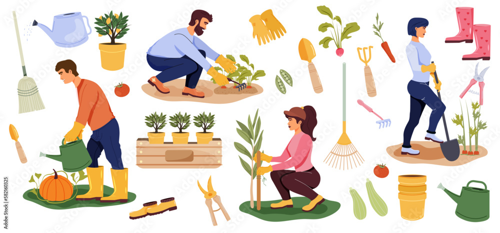 A set of objects and people who are engaged in gardening. Land tenure. A man waters a pumpkin, a girl ties up tomatoes, a man plows carrots with a rake, a girl digs beds. Plants and flowers. Flat 