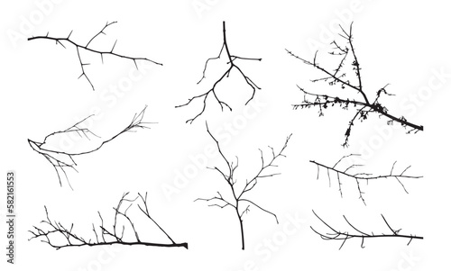 Tree branch black silhouettes. Dry winter oak. For white spring landscape. Bare twig. Leafless wood shapes. Autumn season nature. Deciduous stems. Vector tidy outline forest elements set