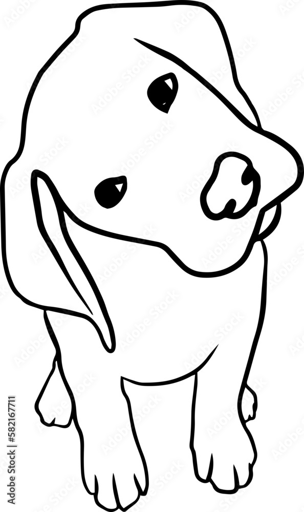 Fototapeta premium dog element labrador retriever linear