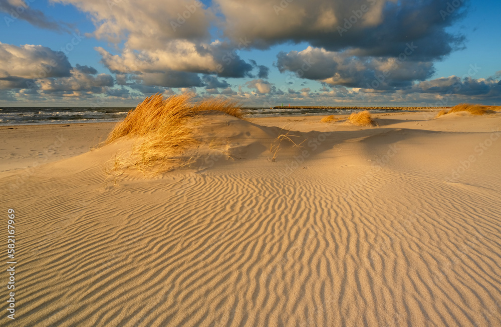 Plaża na wybrzeżu Morza Bałtyckiego, Kołobrzeg, Polska