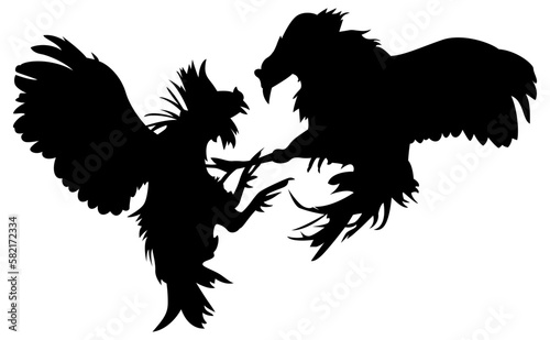 Rooster fight