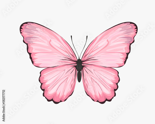  positive quote butterfly pink flower rose and daisies watercolor hand drawn design