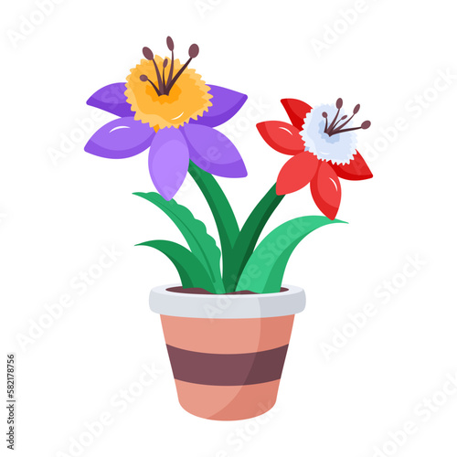 Plant Pot 