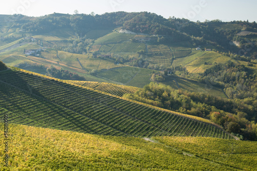 Autumn Italian Langhe view. View of hills with vines in autumn season. Piemonte, Langhe area.