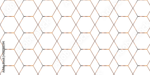 Background with hexagons. Abstract background with lines. white texture background. white and hexagon abstract background. white paper texture and futuristic business .