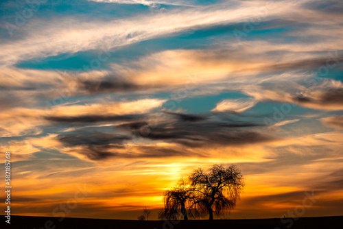 zwei Bäume in farbenprächtigem Sonnenuntergang