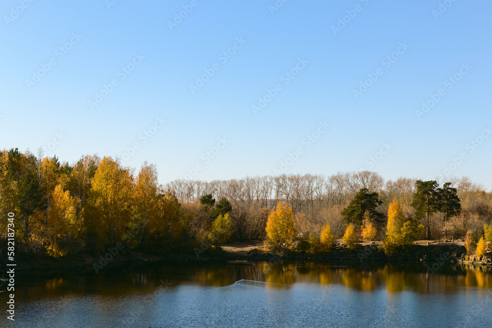 Autumn trees on the shore of a forest lake