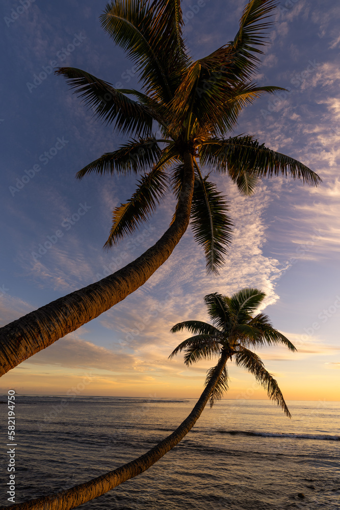 Beautiful Sunset on a Hawaiin beach with palm trees