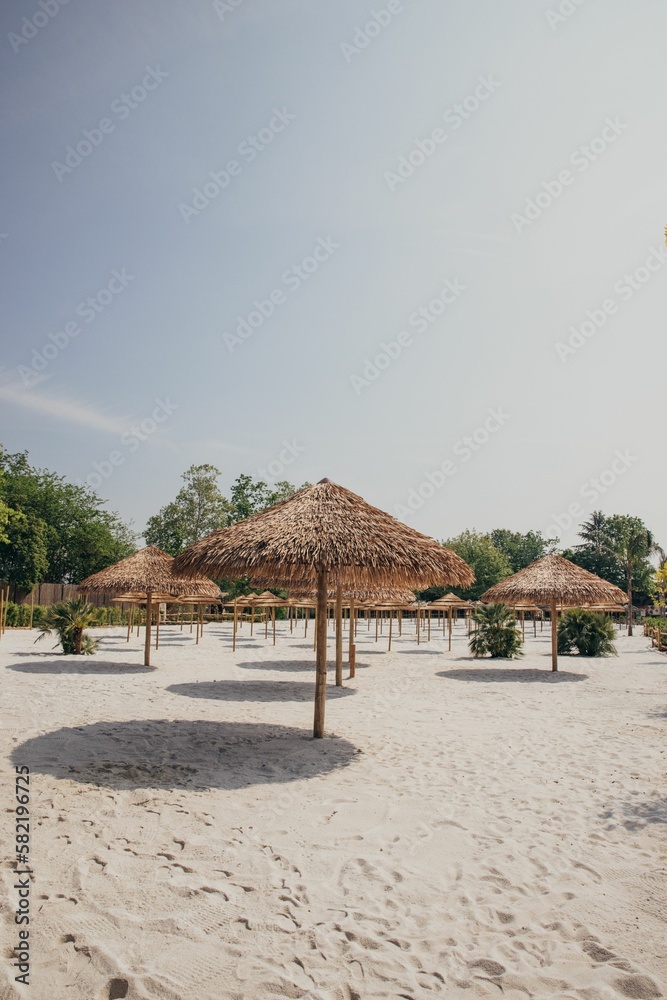 Vertical shot of rows of thatch umbrellas in the park.