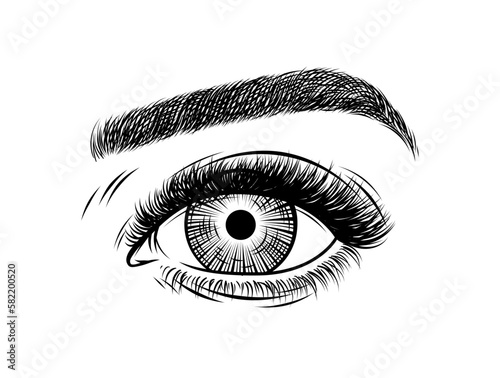 Human eye engraving vector illustration. Scratch board style imitation. Black and white hand drawn image.