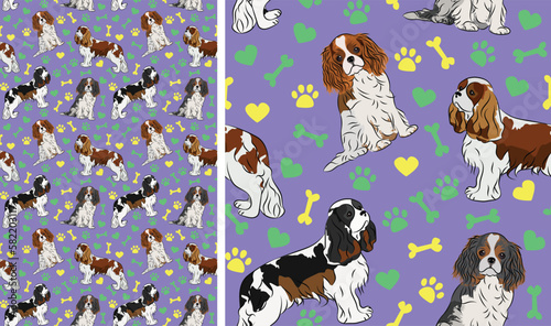 Cavalier king charles spaniel dogs on a playful violet background with bones, hearts, paws. Funky, colorful vibe, vibrant palette. Simple, clean, modern texture. Summer seamless pattern with dogs,card